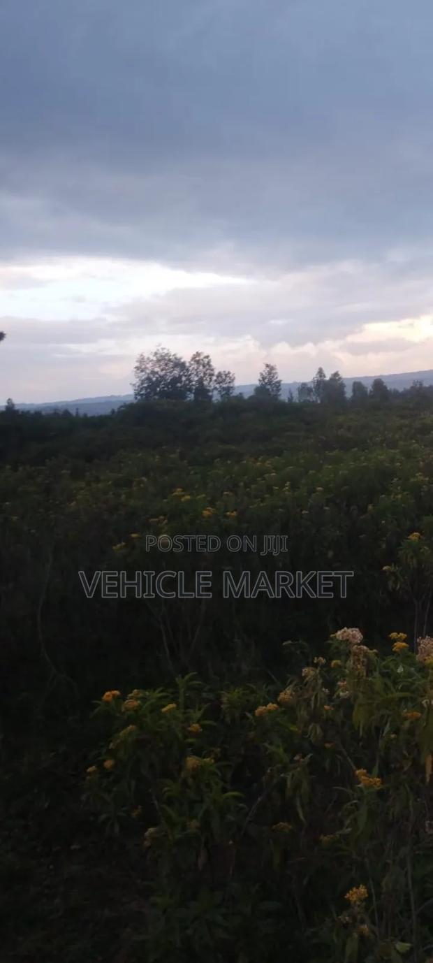 Plots for Sale Naivasha - thumbnail 10