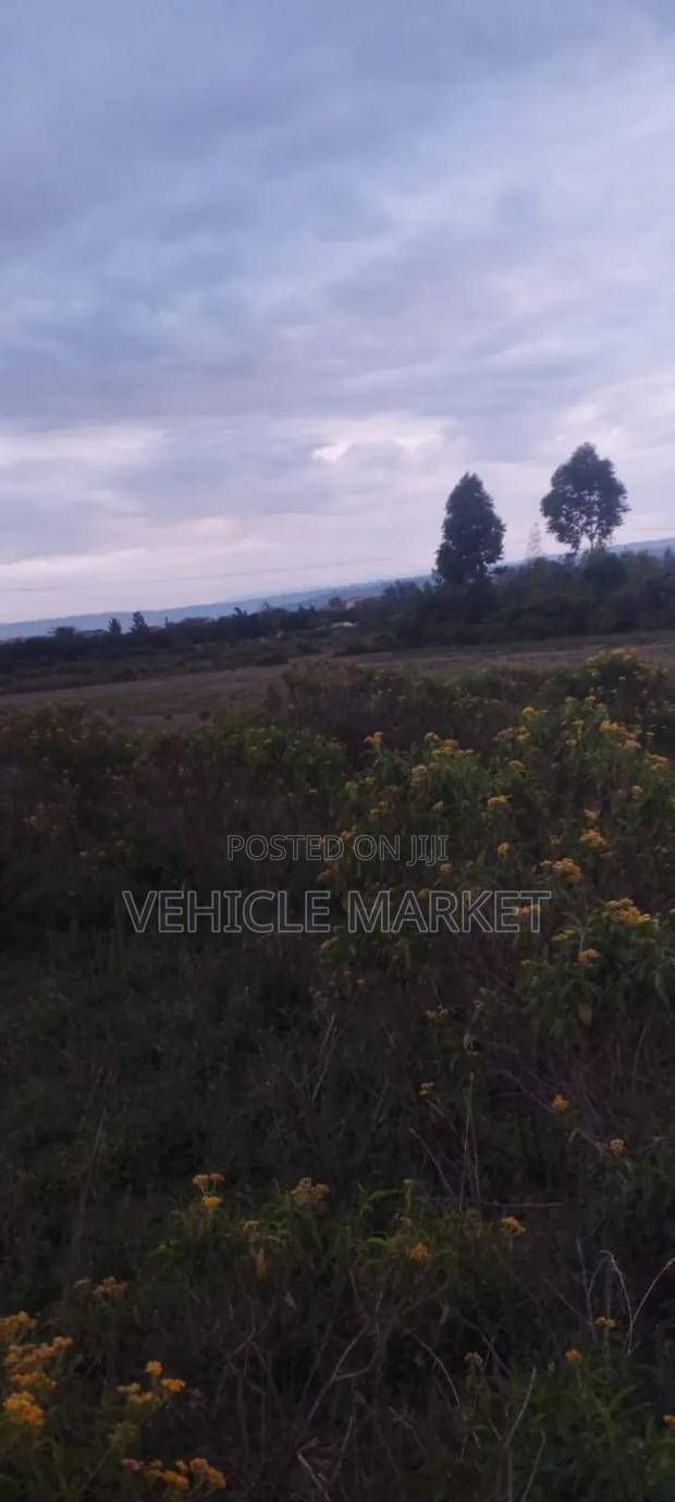 Plots for Sale Naivasha - thumbnail 11