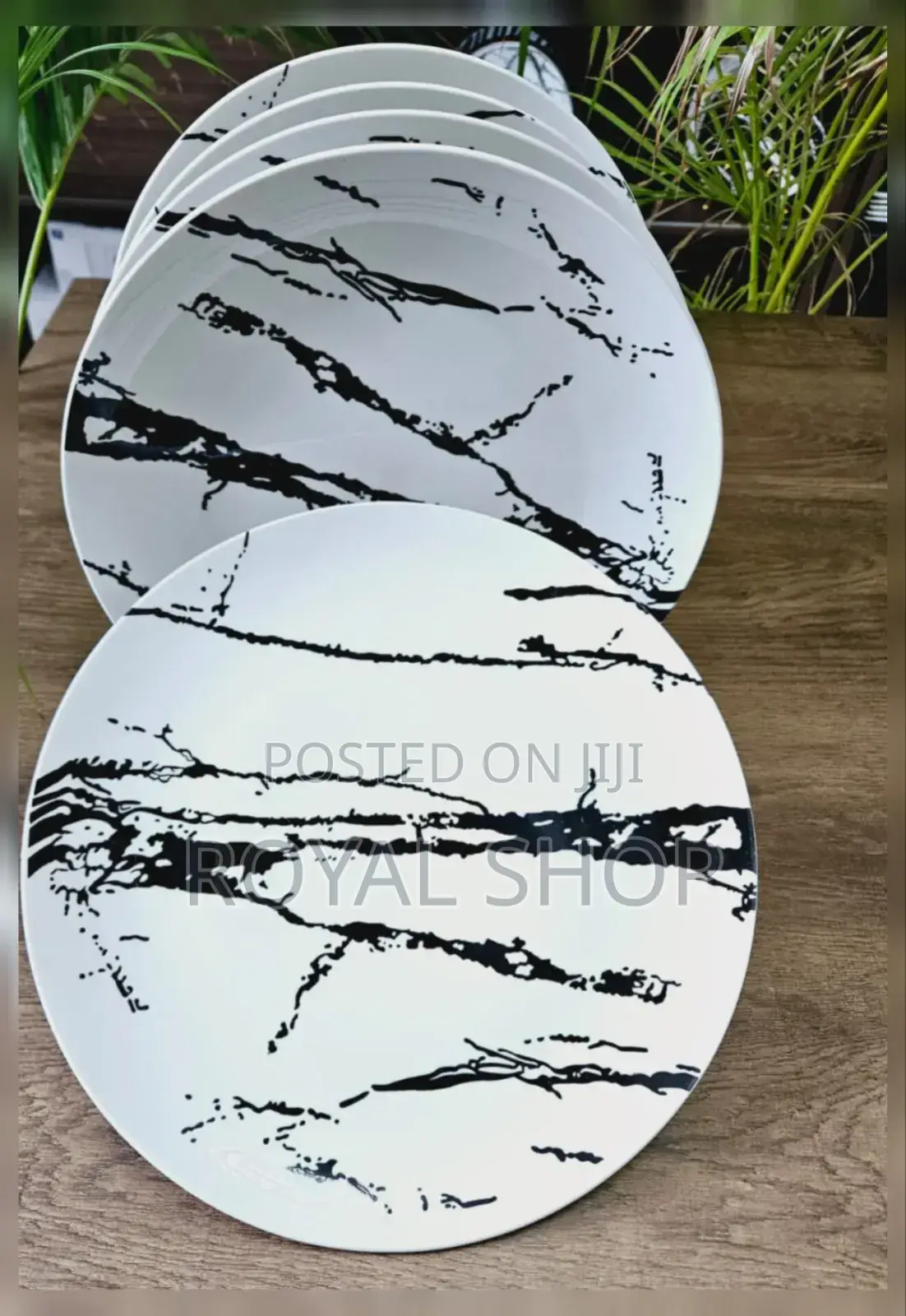 Ceramic Dinner Plate