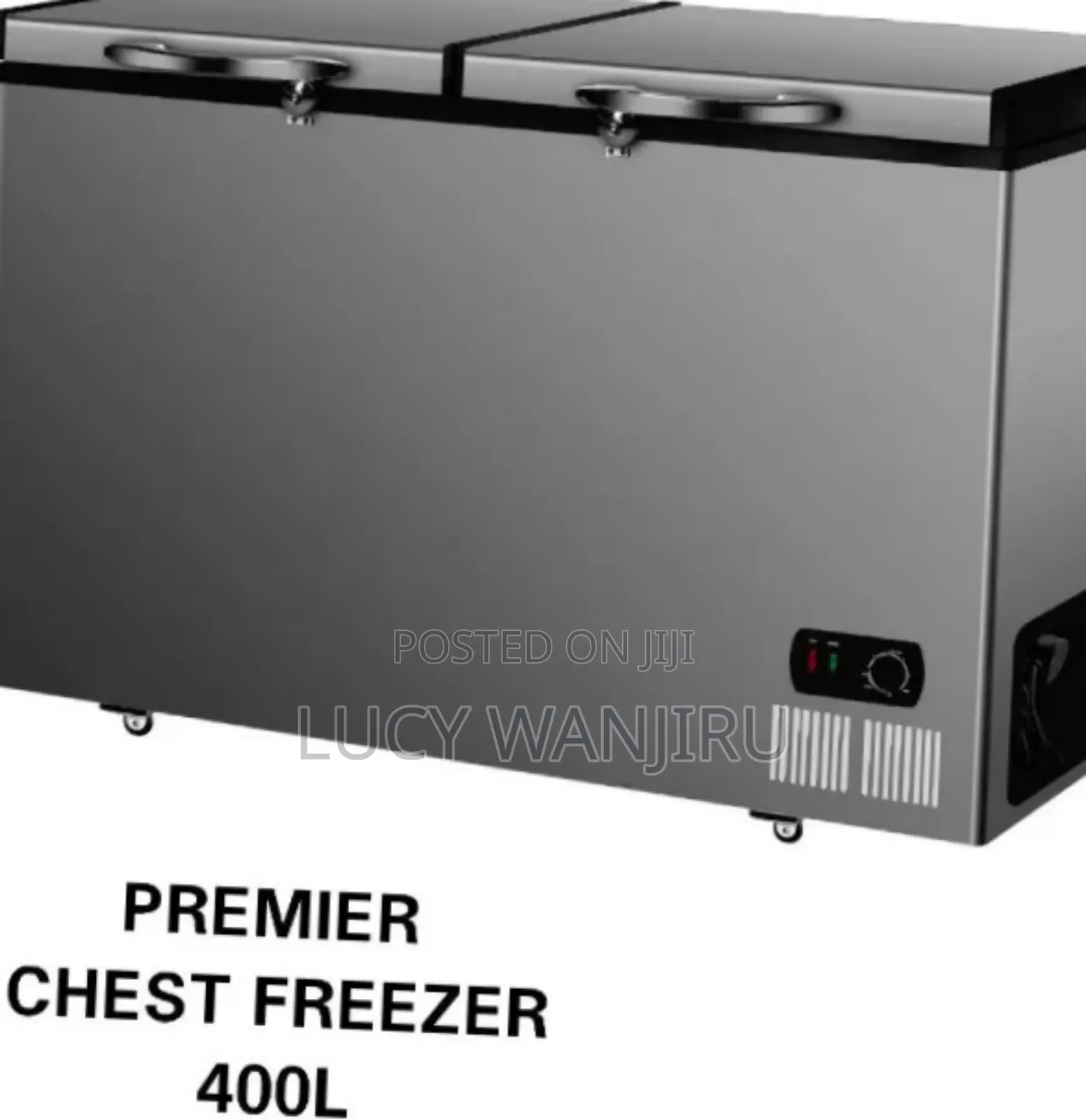 High Quality Chest Freezer/ Premier Freezer