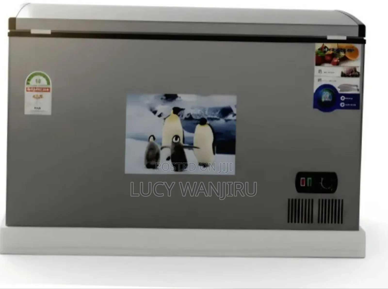 300l Chest Freezer/ Quality Chest Freezer