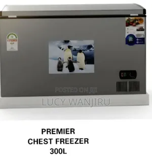 Quality Premier Chest Freezer 300l