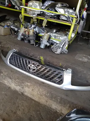 Toyota Rav4 Grilles Exjapan