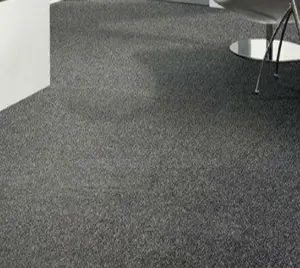 Long-Lasting Grey Delta Wall to Wall Carpet