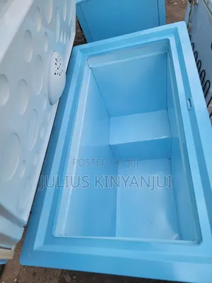 Single Door Freezer 250l