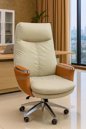 Director’S Executive Office Chair