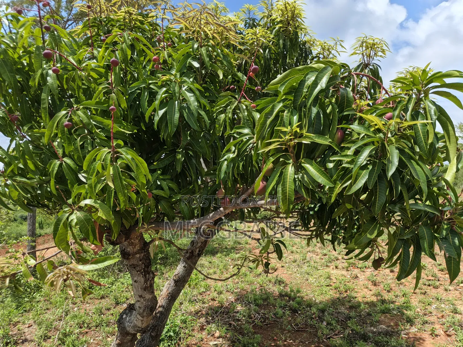 Land for Sale at Kivaa Masinga