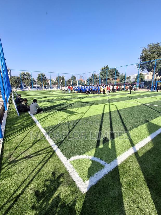 Football Pitch Turf Grass