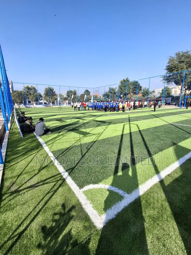 Football Pitch Turf Grass