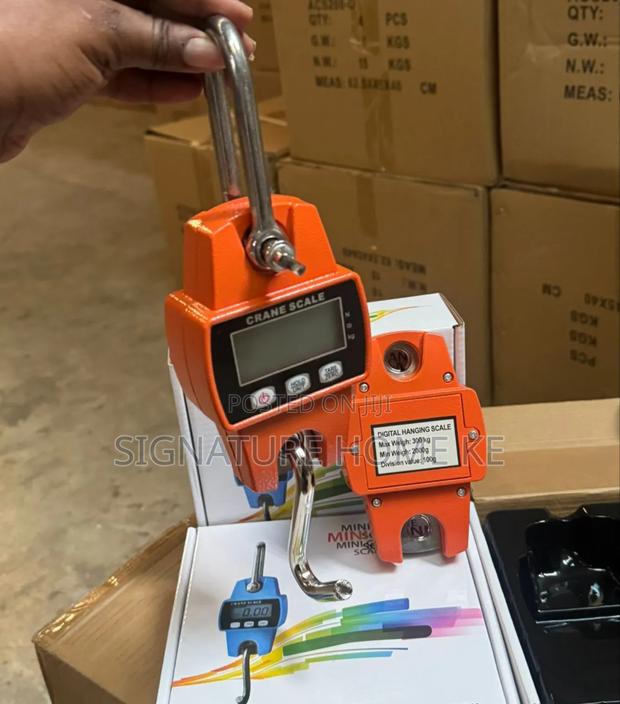 300kg Mini Crane