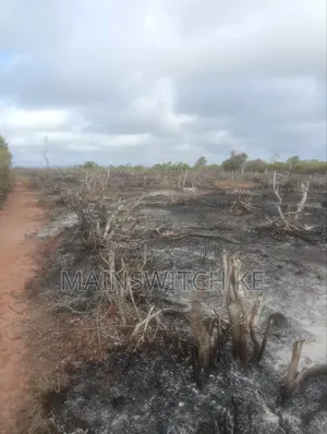 Ekari Thelathini Za Mananasi Zinauzwa Wahi Kuwahi