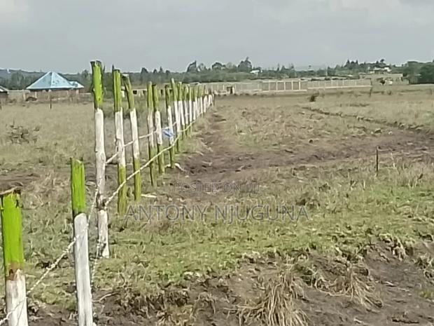 50×100 Prime Plots in Kantafu Going for Kshs.500,000 Only - thumbnail 5