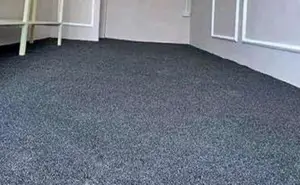 Delta Interior Wall to Wall Carpet