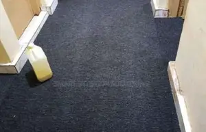 Office Interior Wall to Wall Carpet