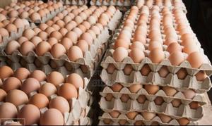 Layers Eggs - thumbnail 2