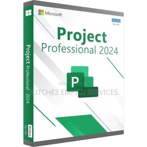 Microsoft Project Professional 2024 - main view