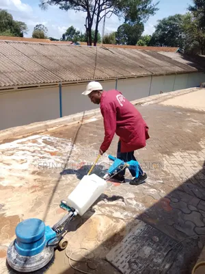 Professional,Cleaners, Cleaning Services in Homes
