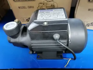 High Discharge Astramilano Water Pump