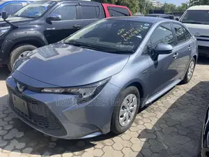 Toyota Corolla Altis 2019 Silver