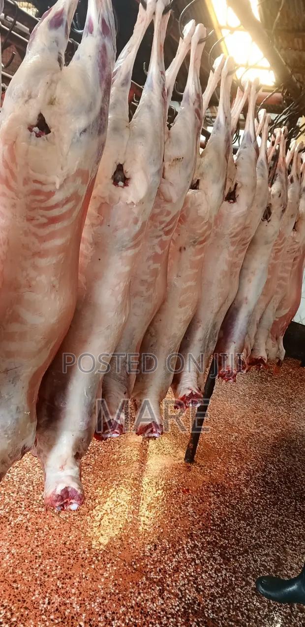 Mares Meat - thumbnail 2