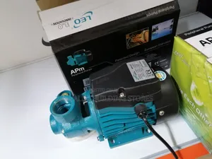 Pumping Water Pump (Leo Qb60)