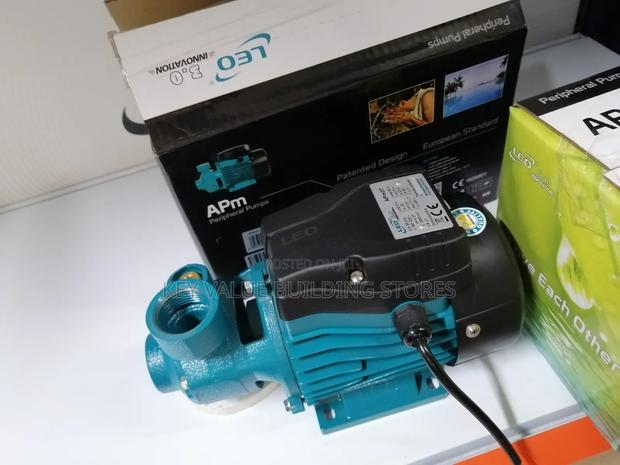 Pumping Water Pump (Leo Qb60)
