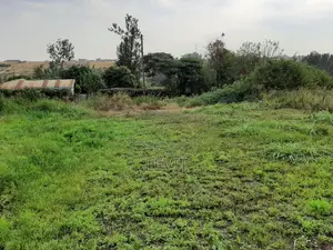 Athena Thika Plot on Offer