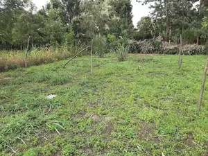 Athena Thika Plot on Offer