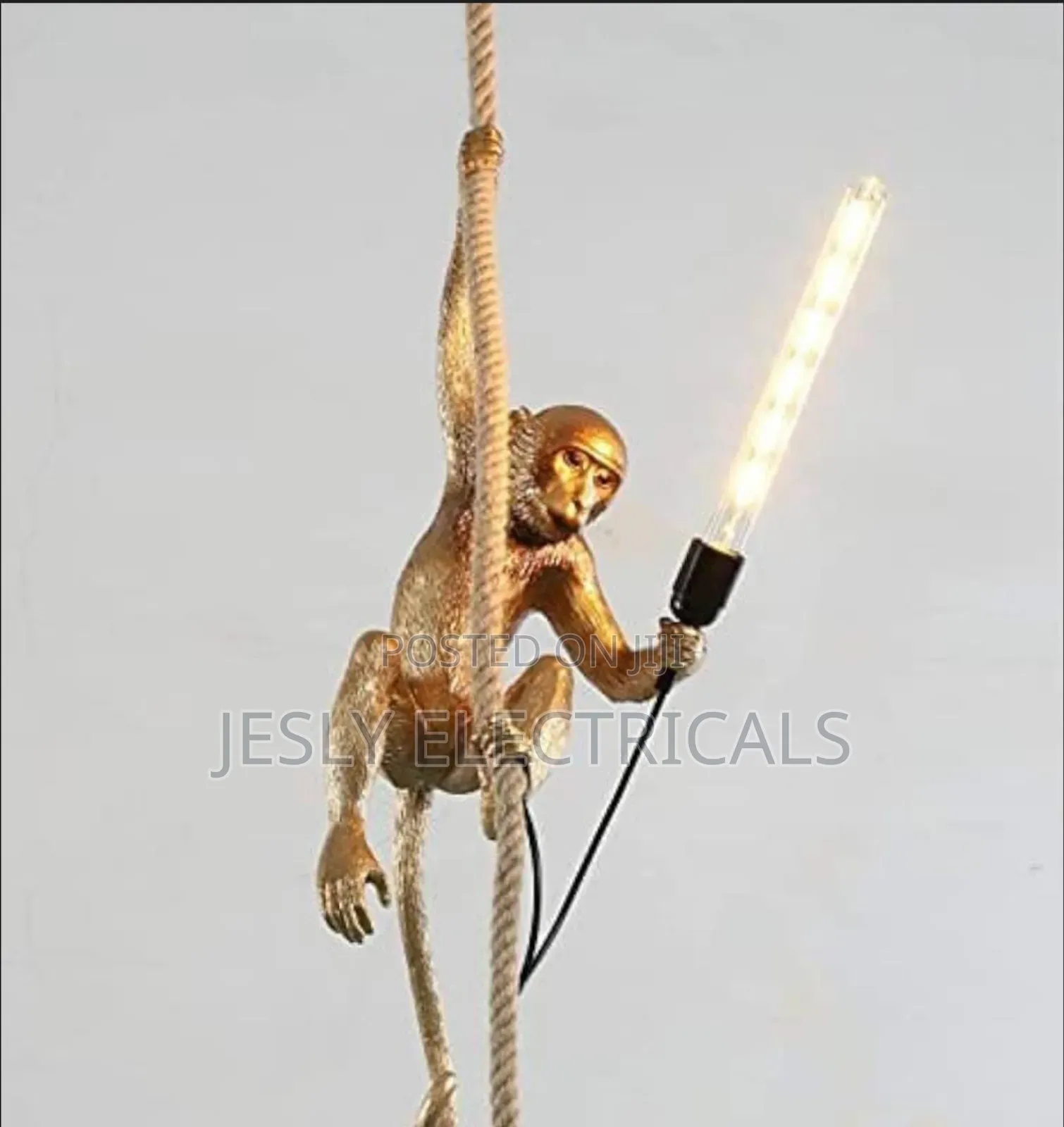 Hanging Monkey