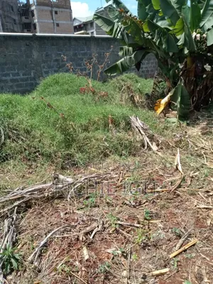 50x100 Plot for Sale