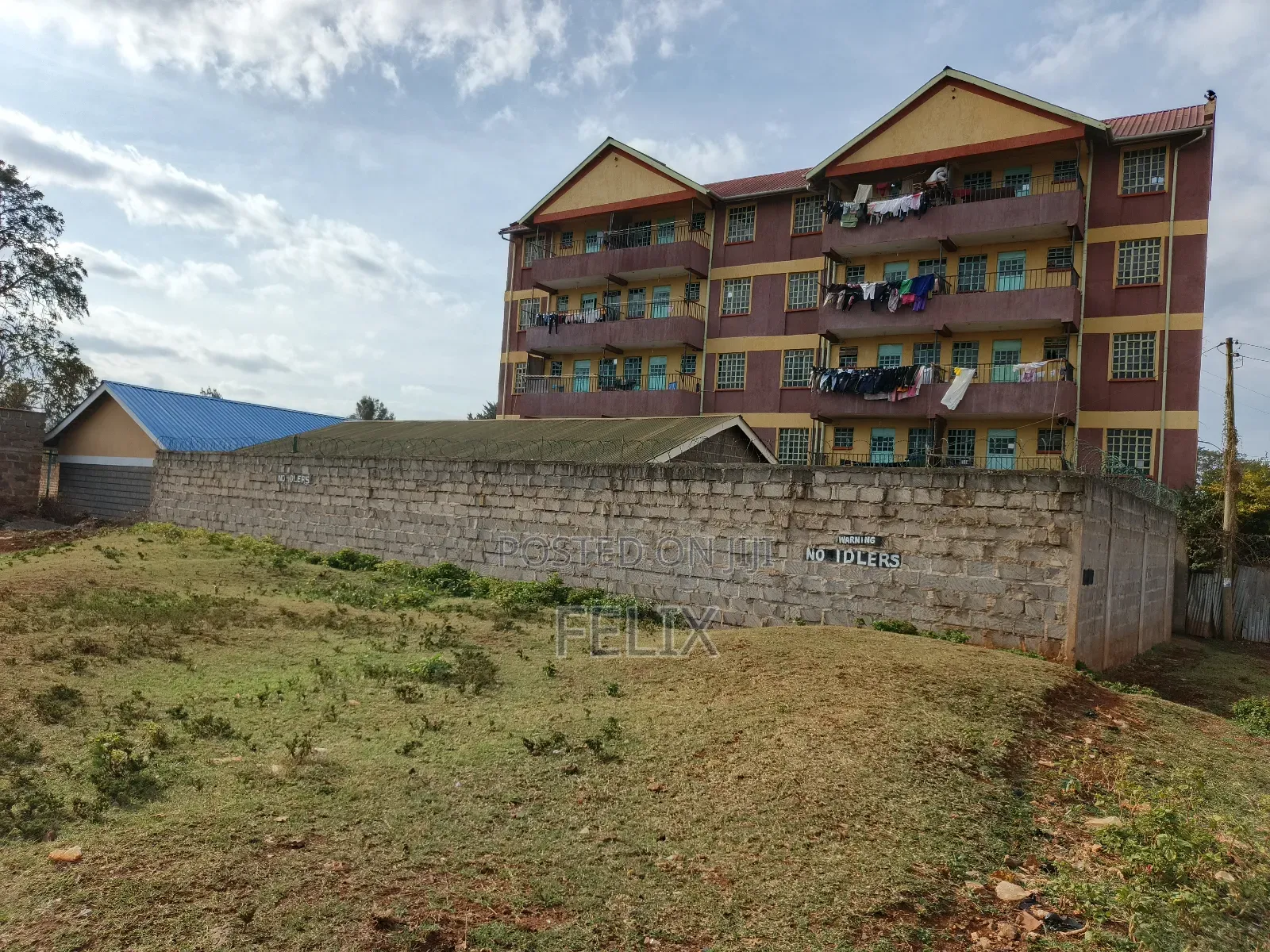 Nyeri Skuta 50/100
