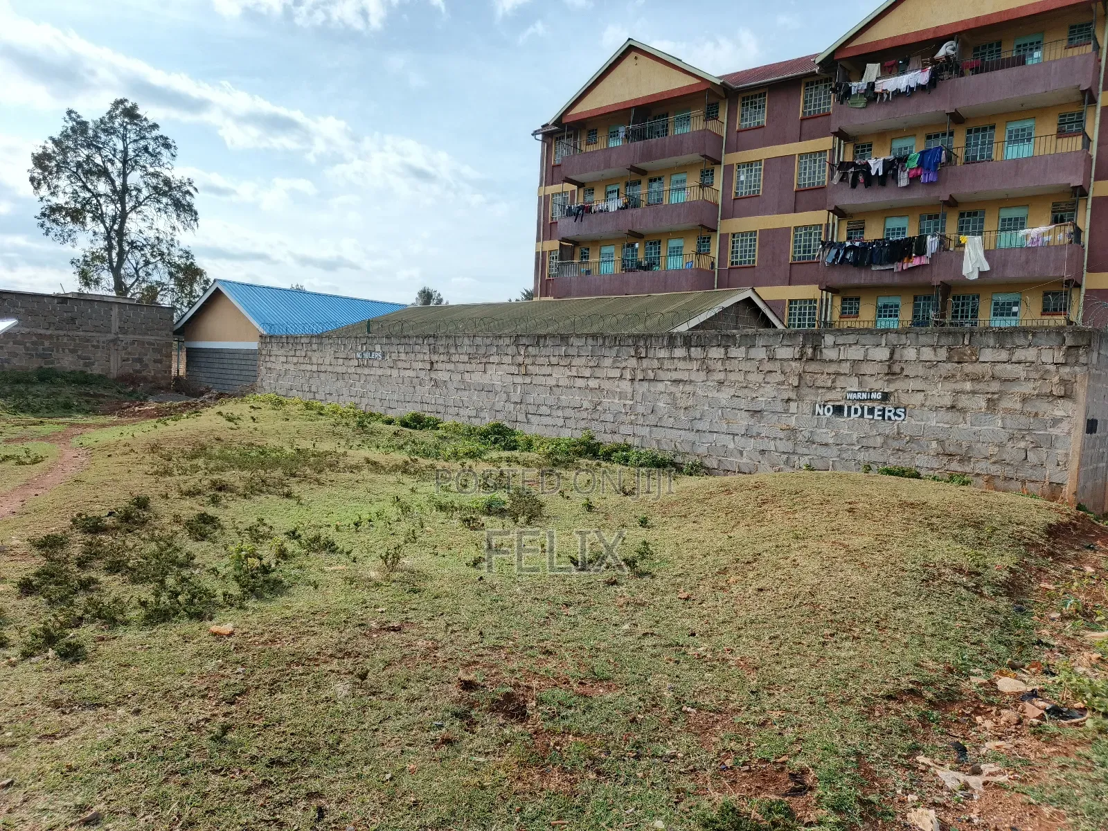 Nyeri Skuta 50/100