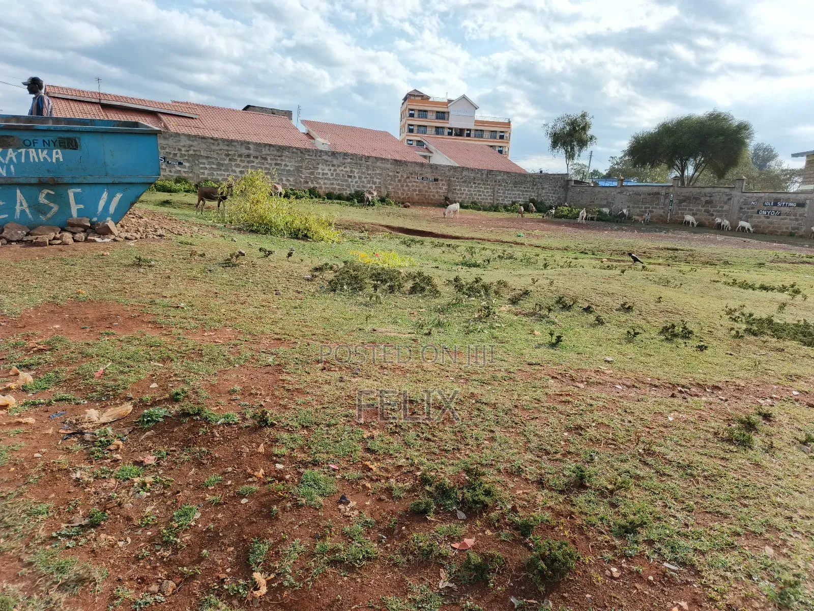 Nyeri Skuta 50/100