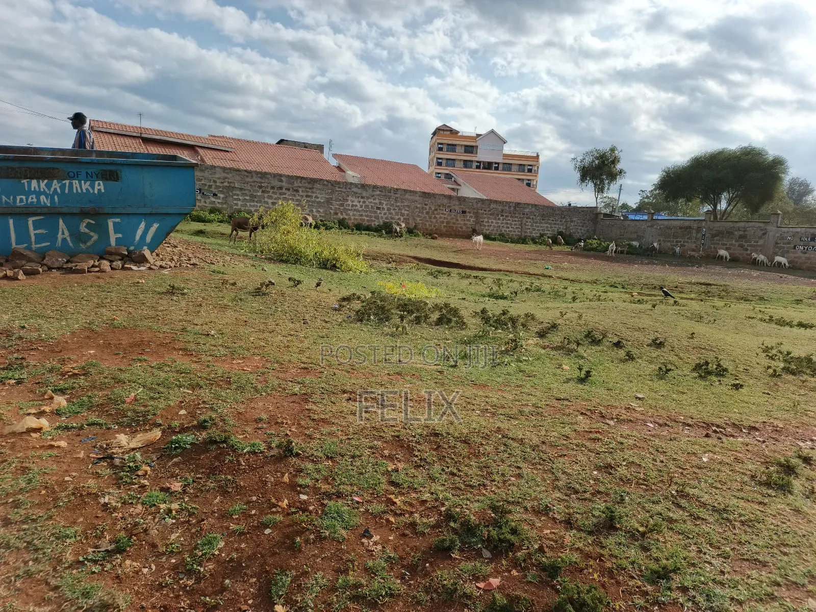 Nyeri Skuta 50/100