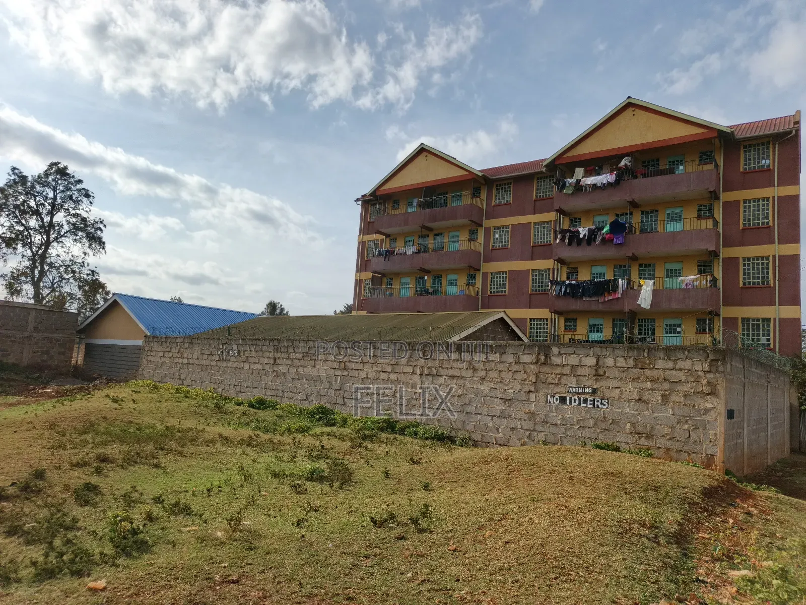 Nyeri Skuta 50/100