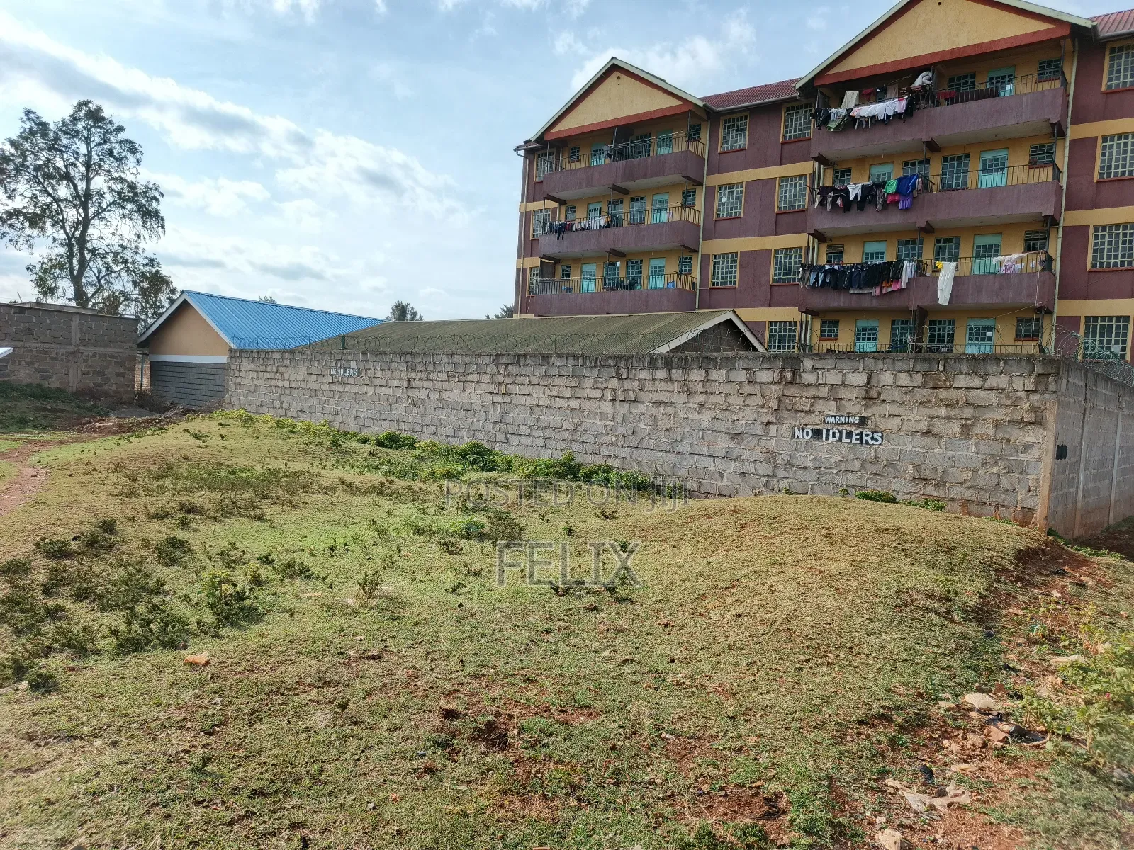 Nyeri Skuta 50/100