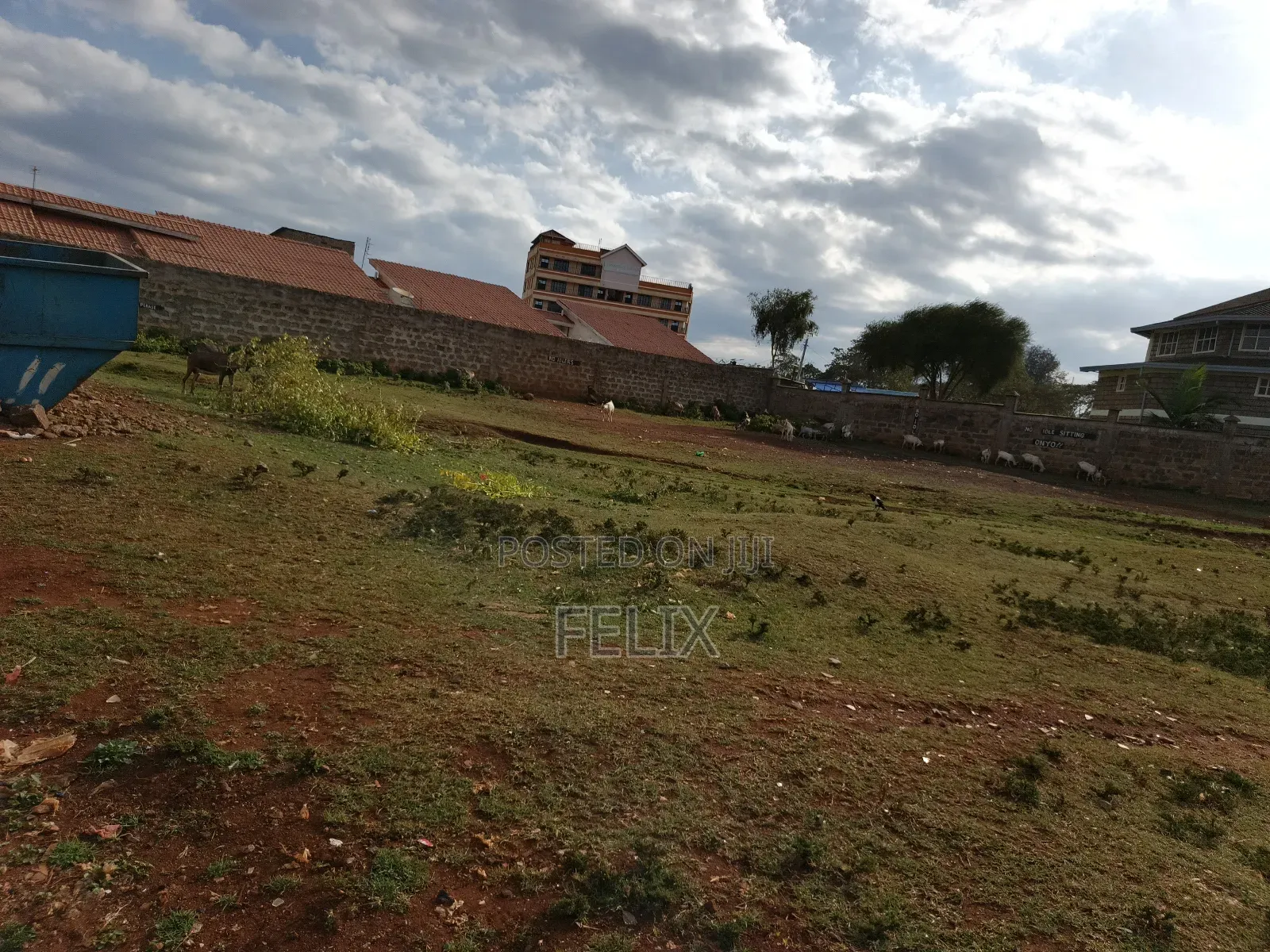 Nyeri Skuta 50/100