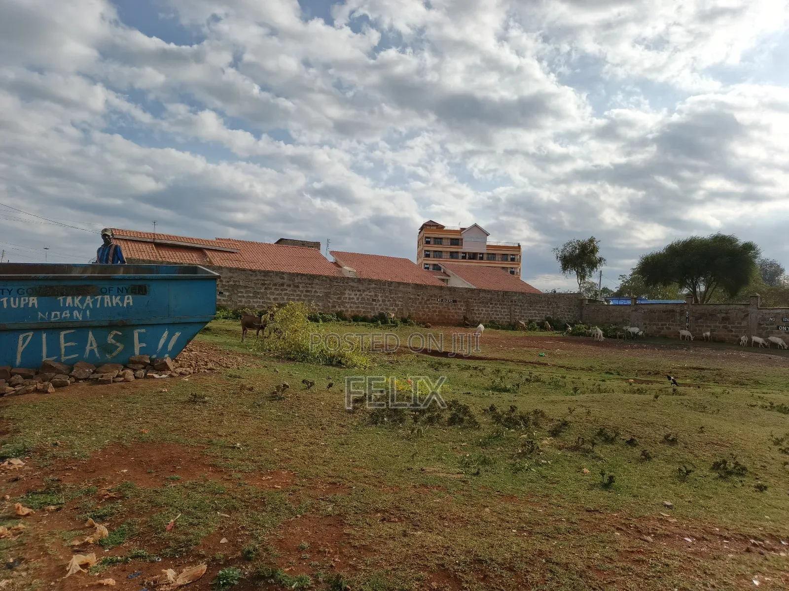 Nyeri Skuta 50/100
