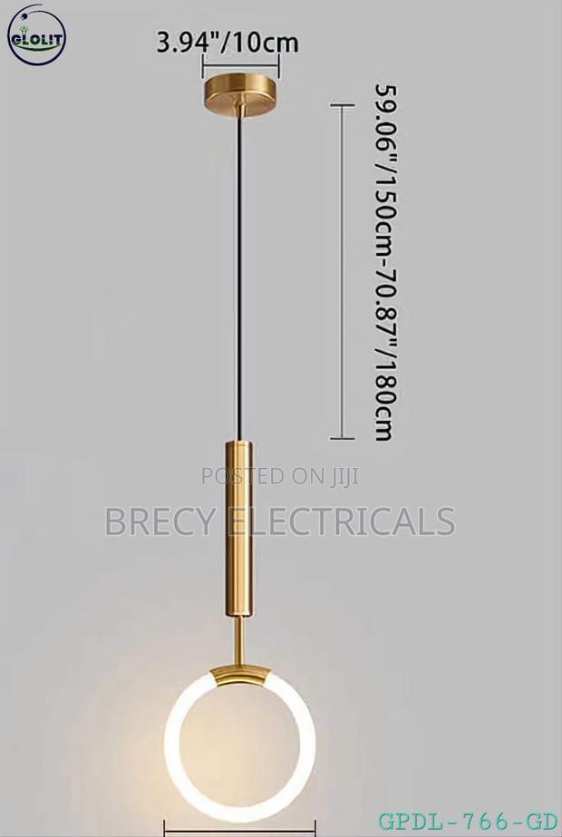 Hanging Gold Ring Pendant Light - main view