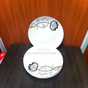 6pcs Dinner Ceramic Plates 10 Ich
