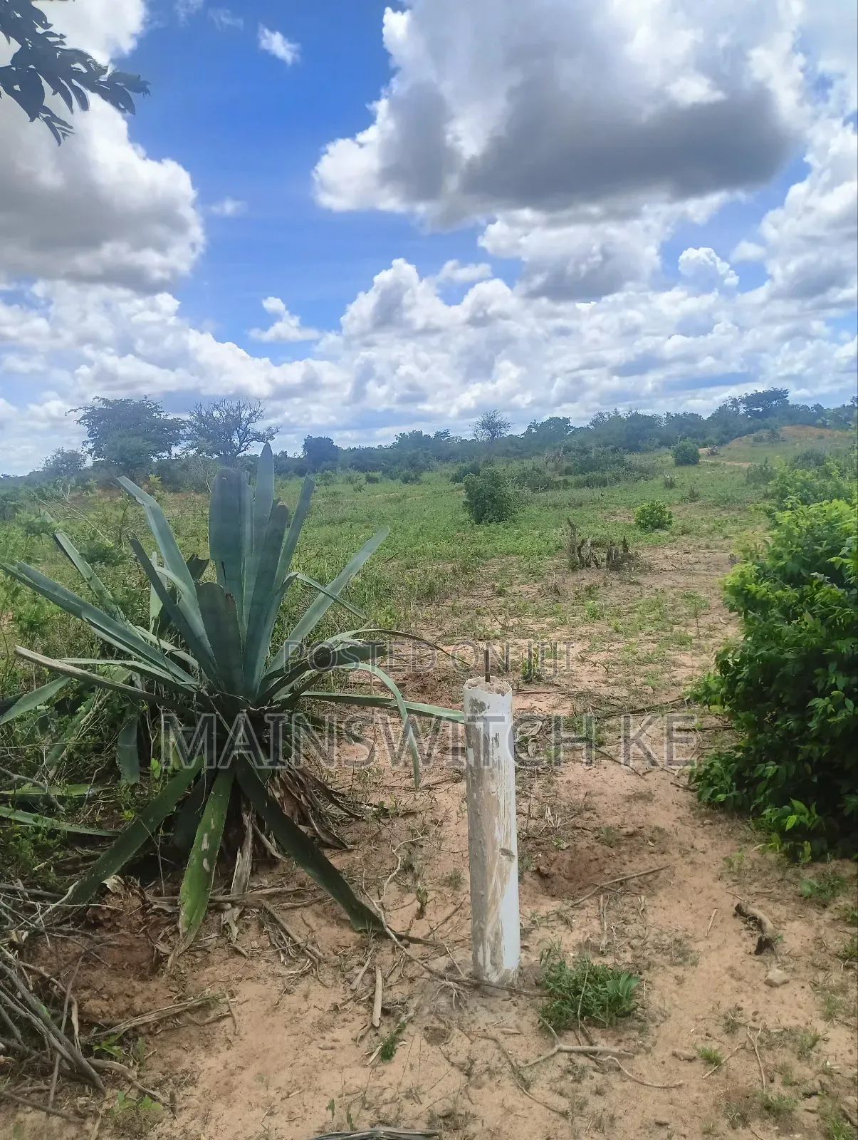 Prime 3 Acres Plot
