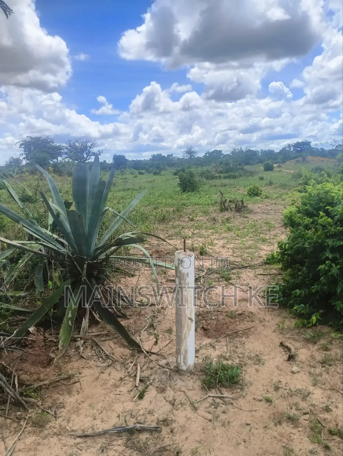 Prime 3 Acres Plot