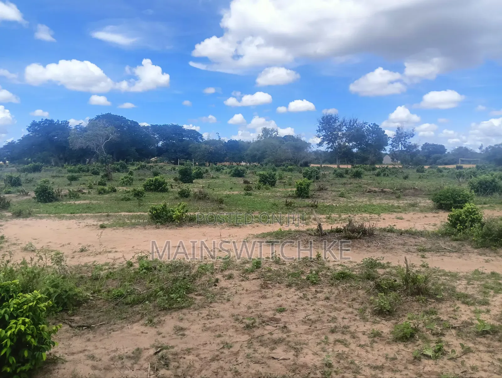 Prime 3 Acres Plot