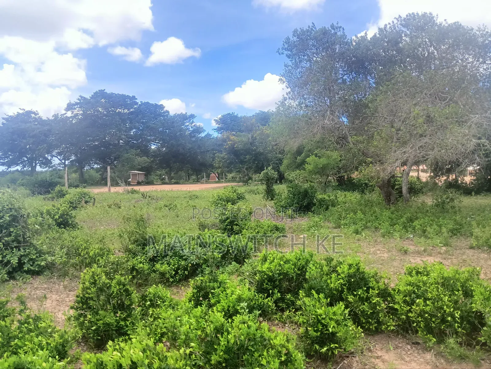 Prime 3 Acres Plot