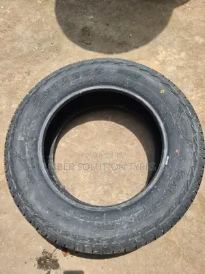 225/65r17 Antares Tires