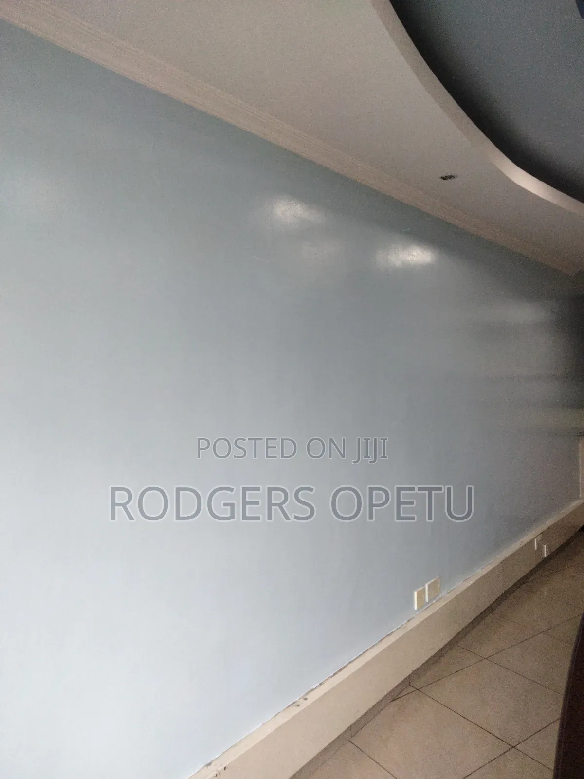 RNS Painting Services