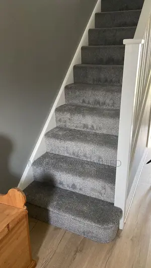 Wall-to-Wall Carpet Flooring – Durable Beautiful