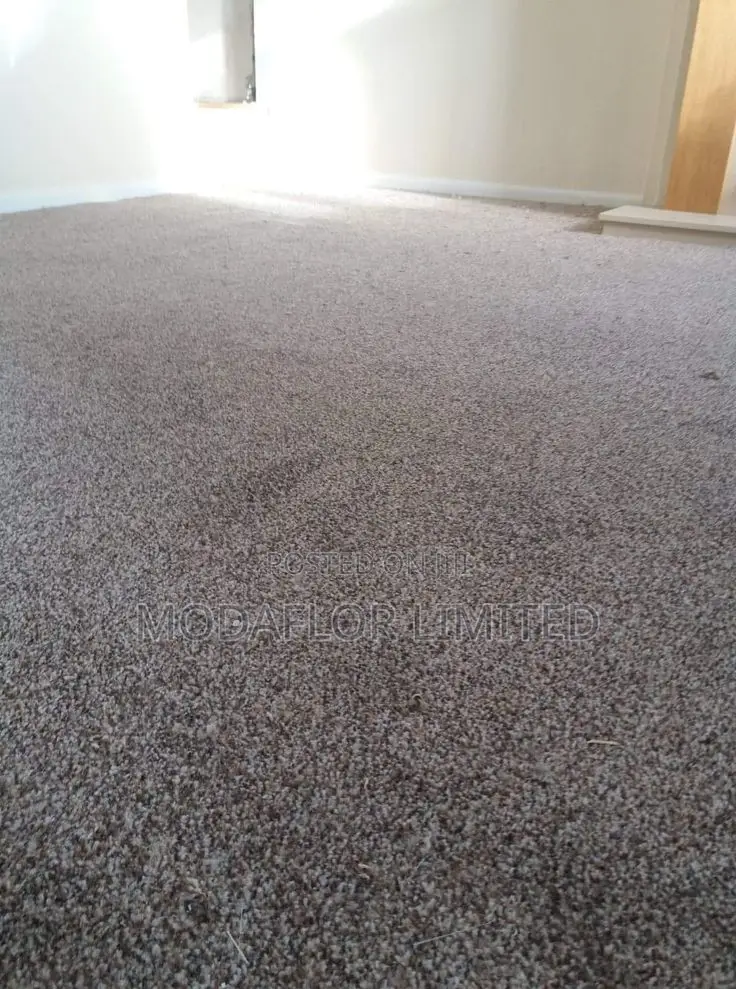 Stylish Wall-to-Wall Carpeting – Premium Quality