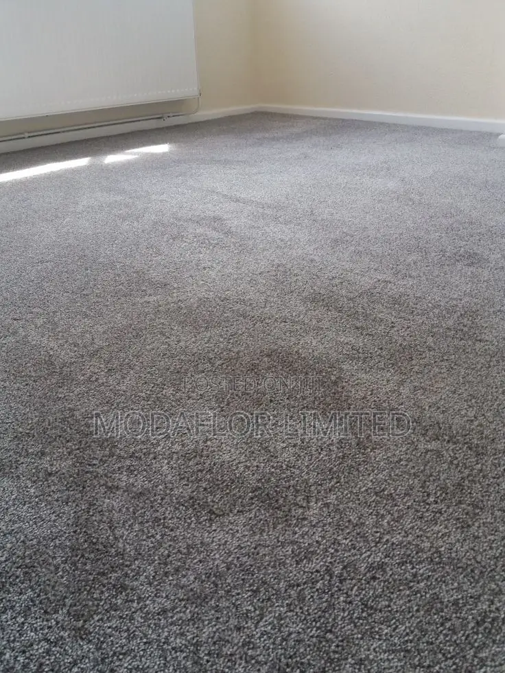 Soft Plush Carpets – Comfort You Can Feel