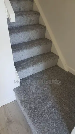 Modern Fitted Carpets – Perfect for Home Renovations